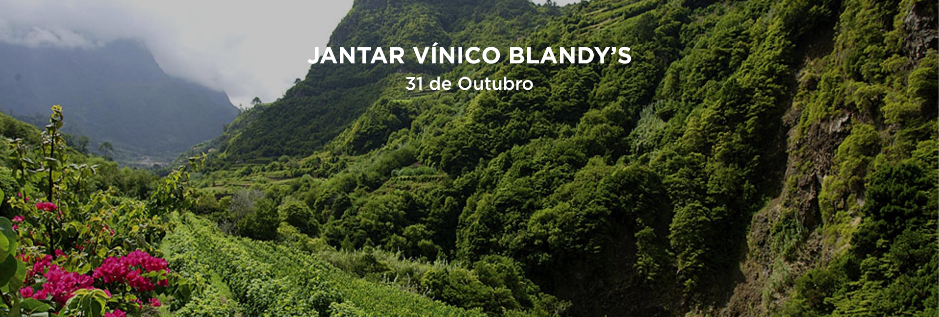 Jantar Vínico Blandy's