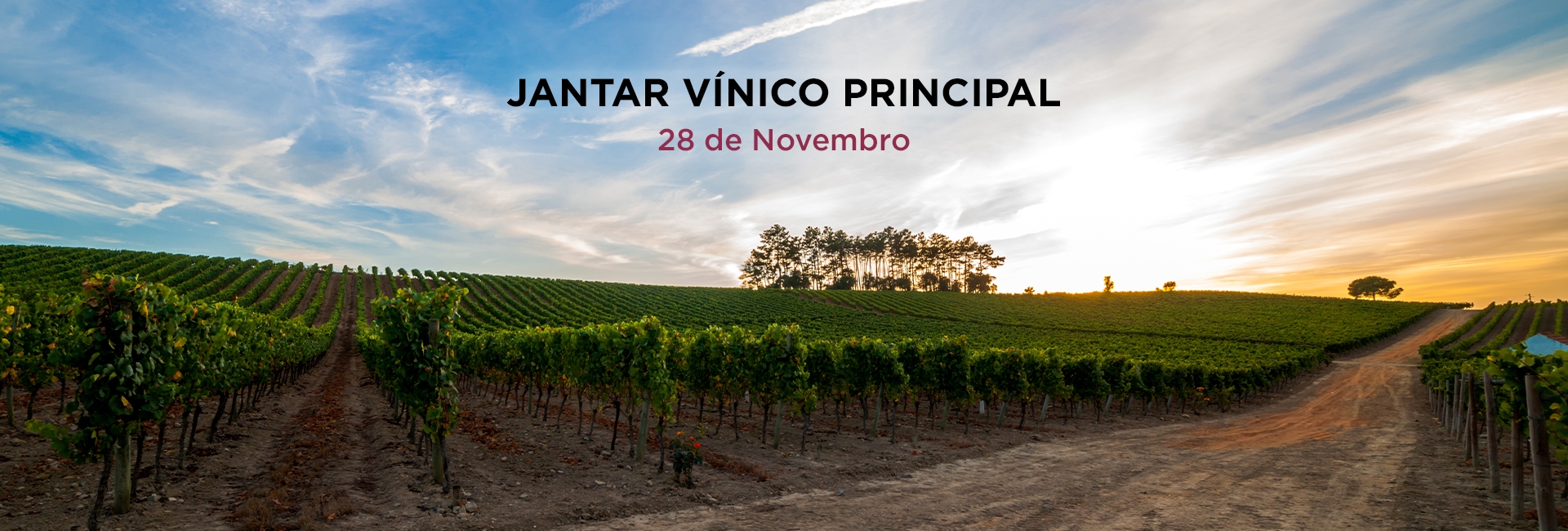 Jantar Vínico Principal